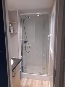 um chuveiro com uma porta de vidro na casa de banho em Camping de Charlieu em Charlieu