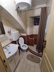 un piccolo bagno con un water e un lavandino di Apartman Sofija Kraljevo a Kraljevo