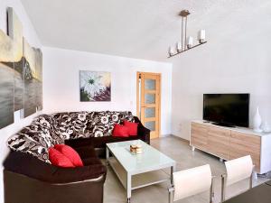 a living room with a couch and a tv at Espléndido Apartamento con Wifi in Granada