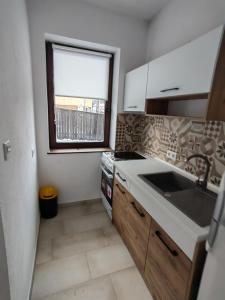 una pequeña cocina con fregadero y ventana en Jegenye apartments en Miercurea-Ciuc