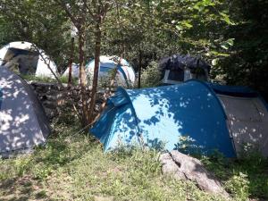 赫尔采格诺维Kamp Seosko domaćinstvo Radman的相册照片