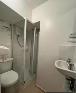 a bathroom with a shower and a toilet and a sink at Entire apartment L B Haringey, Alexandra palace in London