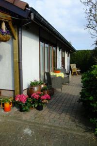 une terrasse avec des fleurs et des plantes devant une maison dans l'établissement De Zon B&B, à Heist-op-den-Berg