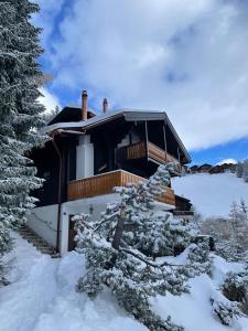 a house in the snow with a tree at Am Bühl OG in Bettmeralp