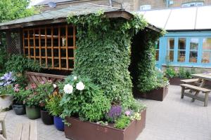 SohamにあるThe Fountainの鉢植えの植物・花の温室