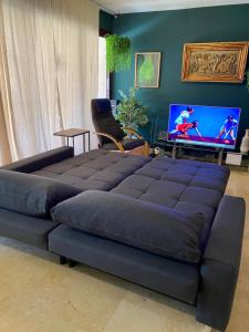 TV a/nebo společenská místnost v ubytování Charm Apartment 90m2