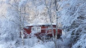a cabin in the woods covered in snow at Vikinggård Cottages in Höljes