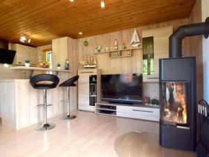 a living room with a fireplace and a television at Holiday home coastal dream in Schönhagen