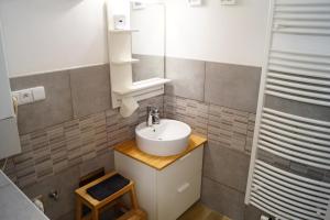 ein Bad mit einem Waschbecken und einem Spiegel in der Unterkunft U Koniáše in Leitmeritz