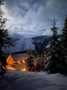 a cabin in the snow at night in the mountains at Drevenica Čertovica in Liptovská Sielnica