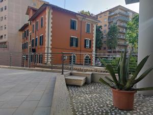 a plant in a pot next to a building at Domvs Romae Apartment in Rome