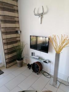 un gato tirado en el suelo en una habitación con TV en Villa Seeblick - ABC223, en Bad Kleinen