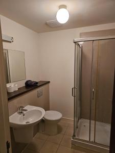 La salle de bains est pourvue de toilettes, d'un lavabo et d'une douche. dans l'établissement Penthouse Apartment, à Kilkenny