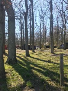 ドランスケにあるCAMPER STELLPLATZ für dein Camper oder WoMo DIREKT am STRANDのギャラリーの写真