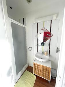 y baño con lavabo y espejo. en Studio avec jardin clos et wifi a Durtal, en Durtal