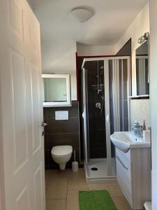 La salle de bains est pourvue de toilettes, d'un lavabo et d'une douche. dans l'établissement Borgo24 family vacation Florence, à Lastra a Signa