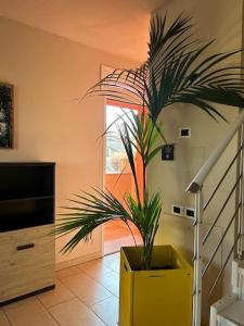une plante dans un planteur jaune dans un couloir dans l'établissement Borgo24 family vacation Florence, à Lastra a Signa