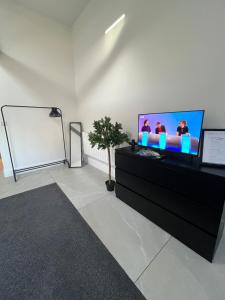 TV a/nebo společenská místnost v ubytování Entire property in Downham Market, Serviced Accomodation