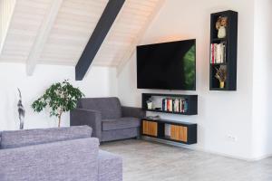 TV a/nebo společenská místnost v ubytování Apartmán Sychrova