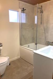 a bathroom with a shower and a toilet and a sink at Familie Meys Chalets - Chalet 249 - La Boverie in Rendeux