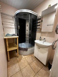 a bathroom with a shower and a sink at Family Apartment near Kadriorg Swan Pond in Tallinn