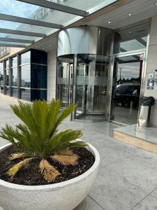 una planta en una olla frente a un edificio en LA CANTUEÑA, en Madrid