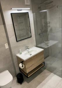 Koupelna v ubytování Apartmán Alenka