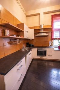 une cuisine avec des placards blancs et un comptoir dans l'établissement Kelemen Apartment, à Szeged