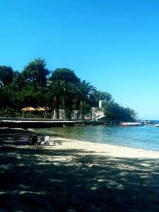 Φυσικό τοπίο κοντά σε αυτό το διαμέρισμα