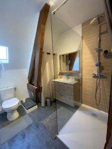 a bathroom with a toilet and a shower and a sink at Le Denis Papin - Hyper Centre - à 5 minutes du Châteaux in Blois