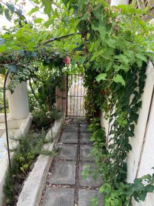 un arbol con una puerta y algunas plantas en Villetta Costanza, Salina Isole Eolie, en Rinella