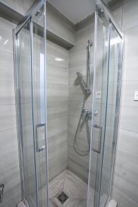 eine Dusche mit Glaskabine im Bad in der Unterkunft Gogol Apartment in Szeged