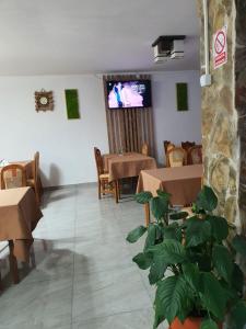 a restaurant with tables and a plant in a room at Popas Turistic Padis in Padis