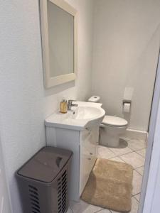 卡爾特漢的住宿－Cast'Azur - Appartement T3，一间带水槽、卫生间和镜子的浴室