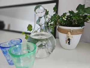 uma mesa com um vaso de vidro e duas plantas sobre ele em Part of a luxury villa with private facilities em Åkarp