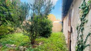 ein kleiner Baum in einem Hof neben einem Gebäude in der Unterkunft Villa en plein centre du village, de plain pied et rénovée en 2008 in Saint-Martin-de-Ré