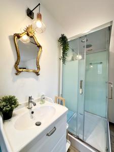 a bathroom with a sink and a glass shower at Le Saint Roch - Hyper Centre - Clim - Cosy - Rénové in Mont-de-Marsan