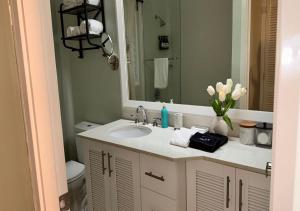 uma casa de banho com um lavatório e um espelho em Jamnick Vacation Rentals - Richmond, St Ann, Jamaica em Ocho Rios
