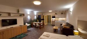 Televízia a/alebo spoločenská miestnosť v ubytovaní Wellness apartmány Říčky v Orlických horách