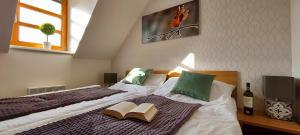 Posteľ alebo postele v izbe v ubytovaní Wellness apartmány Říčky v Orlických horách