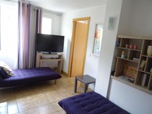 sala de estar con sofá púrpura y TV en Appartement Amélie-les-Bains-Palalda, 2 pièces, 2 personnes - FR-1-659-78, en Amélie-les-Bains-Palalda
