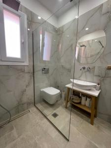 a bathroom with a shower and a toilet and a sink at Estia Alternative Apartment in Drama +7 photos