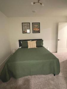 1 dormitorio con 1 cama verde y 2 almohadas en Closetobroadwayairportoprymillsgameroom, en Nashville