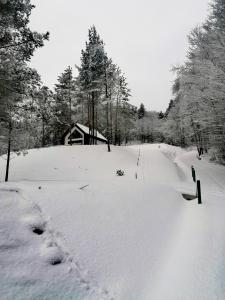 uma estrada coberta de neve com uma casa ao fundo em Źródło Energii em Małastów