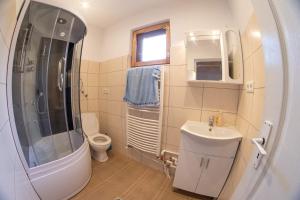 a bathroom with a shower and a sink and a toilet at Weekend-Hause in Mădăras