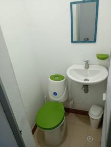 a bathroom with a sink and a toilet with a green seat at Apartamento de verano a orillas de la Represa de Prado 1 de 2 in Boquerón de Tena