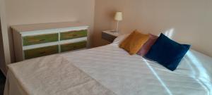 1 dormitorio con 1 cama con almohadas azules y naranjas en Casa Passiflora II en Villa Elisa