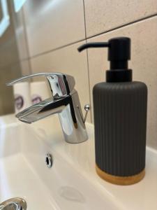 a soap dispenser sitting on top of a bathroom sink at Hôtel Les Charmilles in Besse-et-Saint-Anastaise