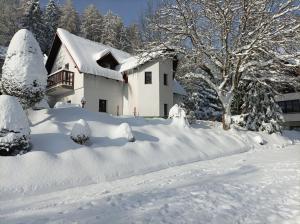 a house covered in snow with trees at Pension DORO in Cerny Dul