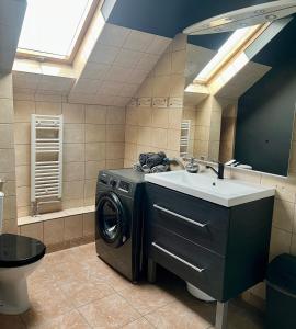 a bathroom with a washing machine and a sink at Azyl nad Potokiem in Karpacz